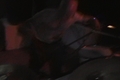 noise_2006_stills_285501.jpg