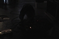 noise_2006_stills_025501.jpg